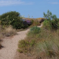 Photo de France - La randonnée de la Tamarissière